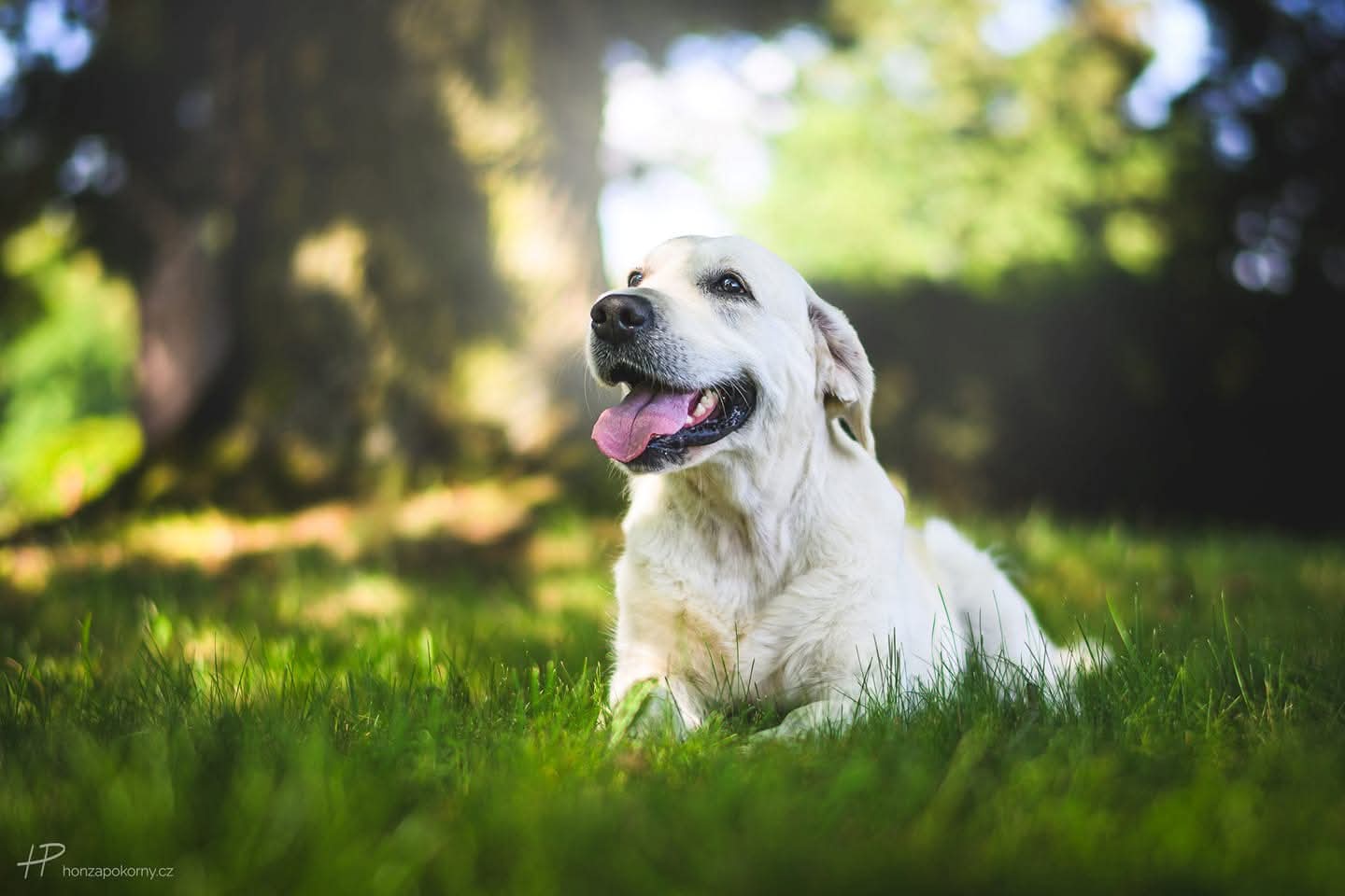 FB_IMG_1765794512993